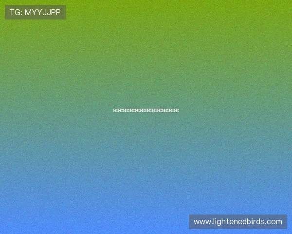 娱乐五哈带你深入分析世界杯赛事热点与明星球员的精彩表现